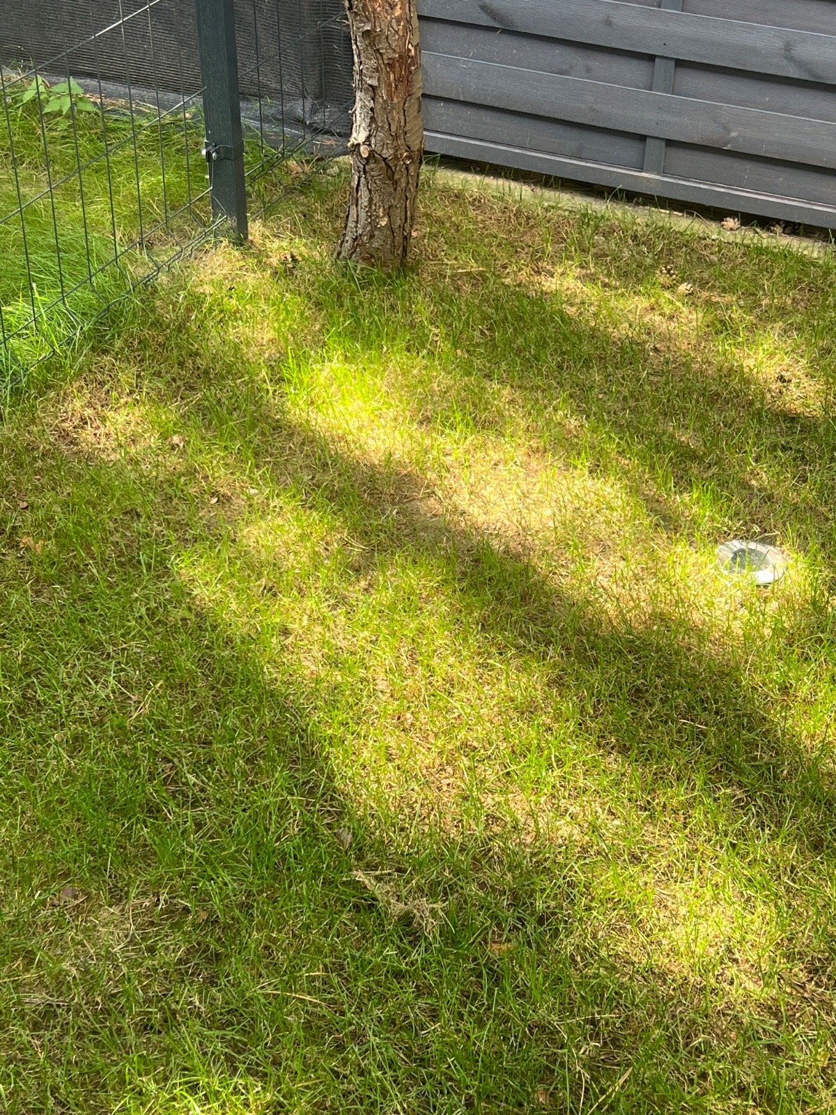 f6400d5b-2f28-4a25-bd88-765fe6f26b03