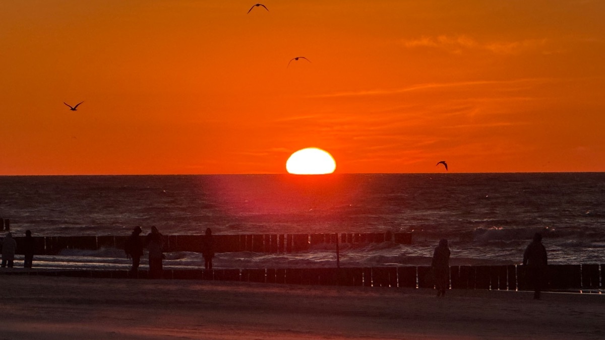 d842b434-4ebd-4af1-82d8-3e16a5803696