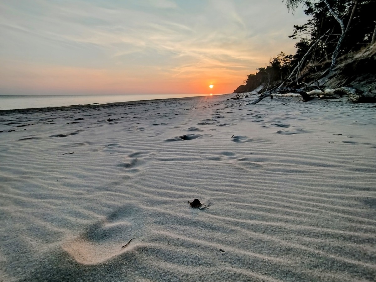 a69a34bb-4a26-4d60-8e9c-d64446df35e3