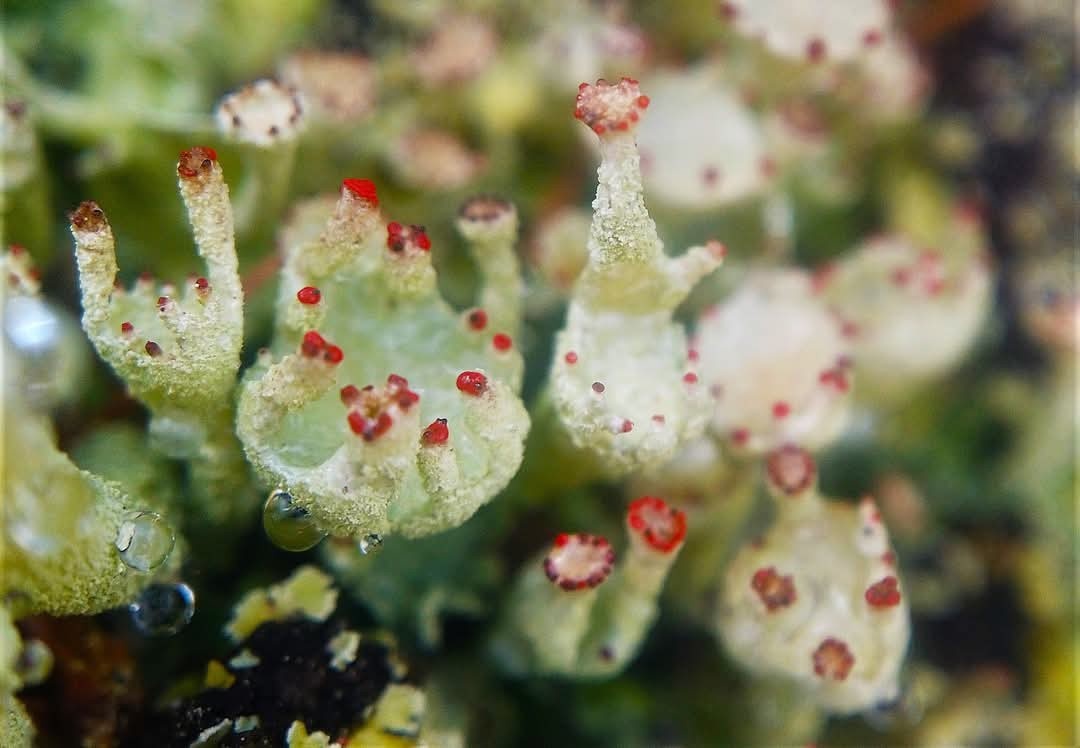 d04a7009-9d18-461e-8164-389a0837d347