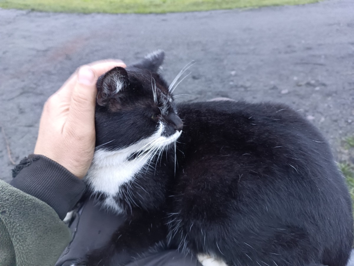 82537cde-8cb1-4f65-a0c4-7eb59b778a96