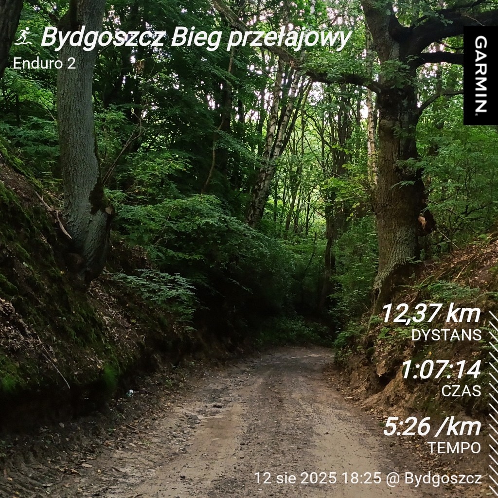 f536eb15-8929-4d33-9458-a90f8cb68641