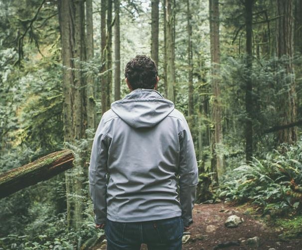 Rośliny tracą zdolność do pochłaniania dwutlenku węgla. Ostrzeżenie naukowców