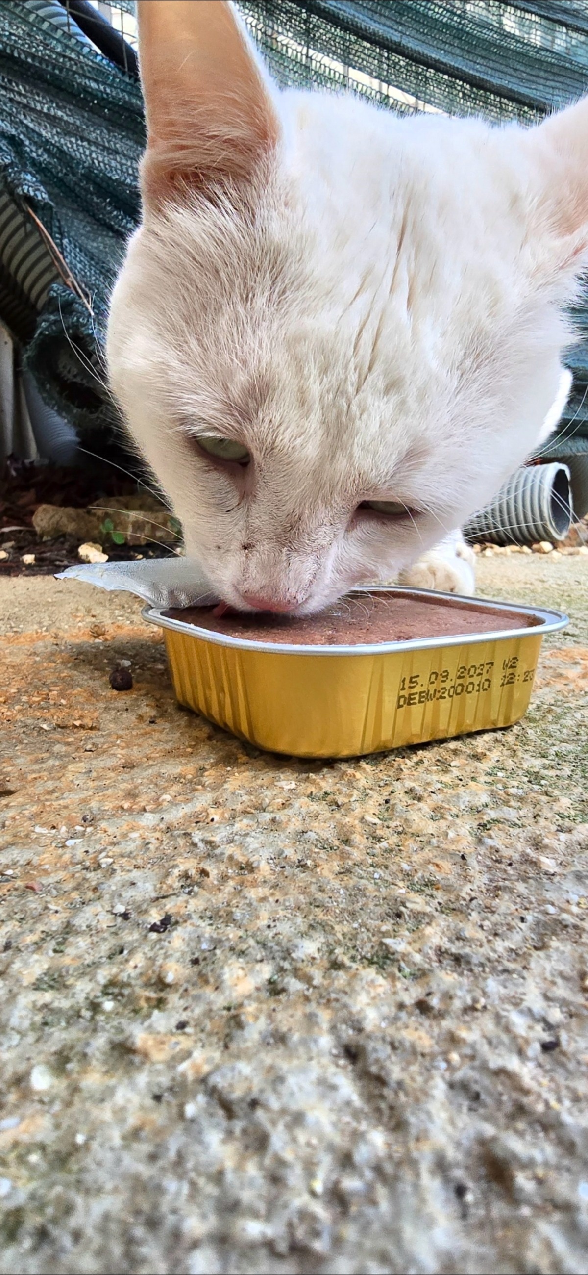 a2a4c3bb-f0b9-479b-9d2d-74a5970c5e25