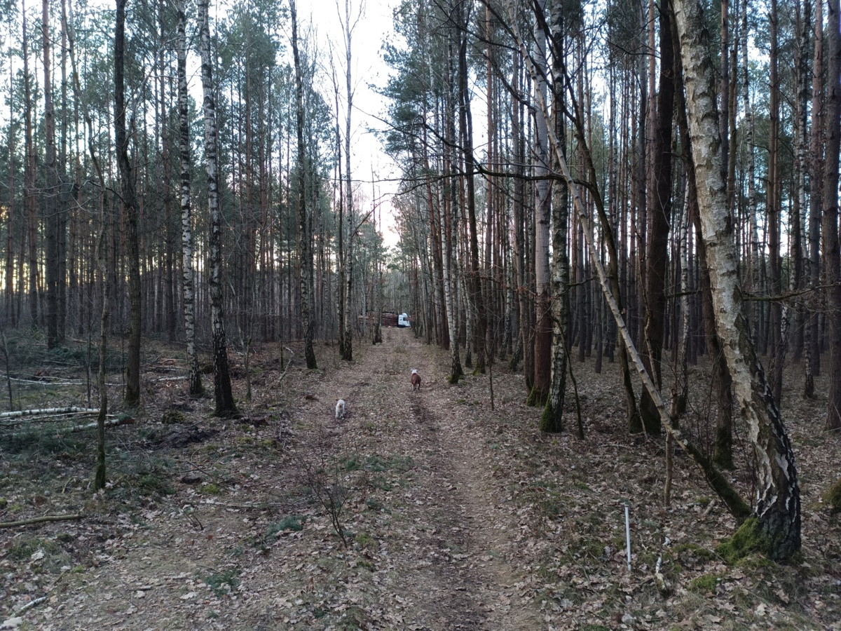 60636aec-9548-4921-a1f7-9b753d7607de