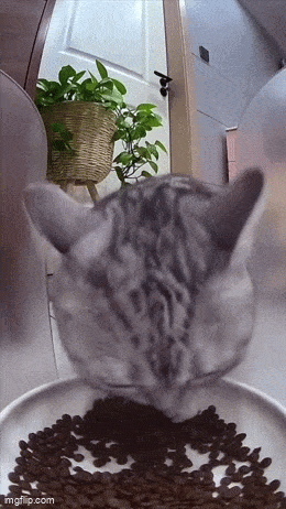 c740b748-cc87-4ac5-aafe-16080591adb1