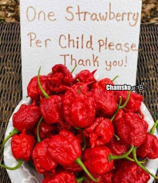 16af6eaa-b538-45b6-b699-0972322e0f83