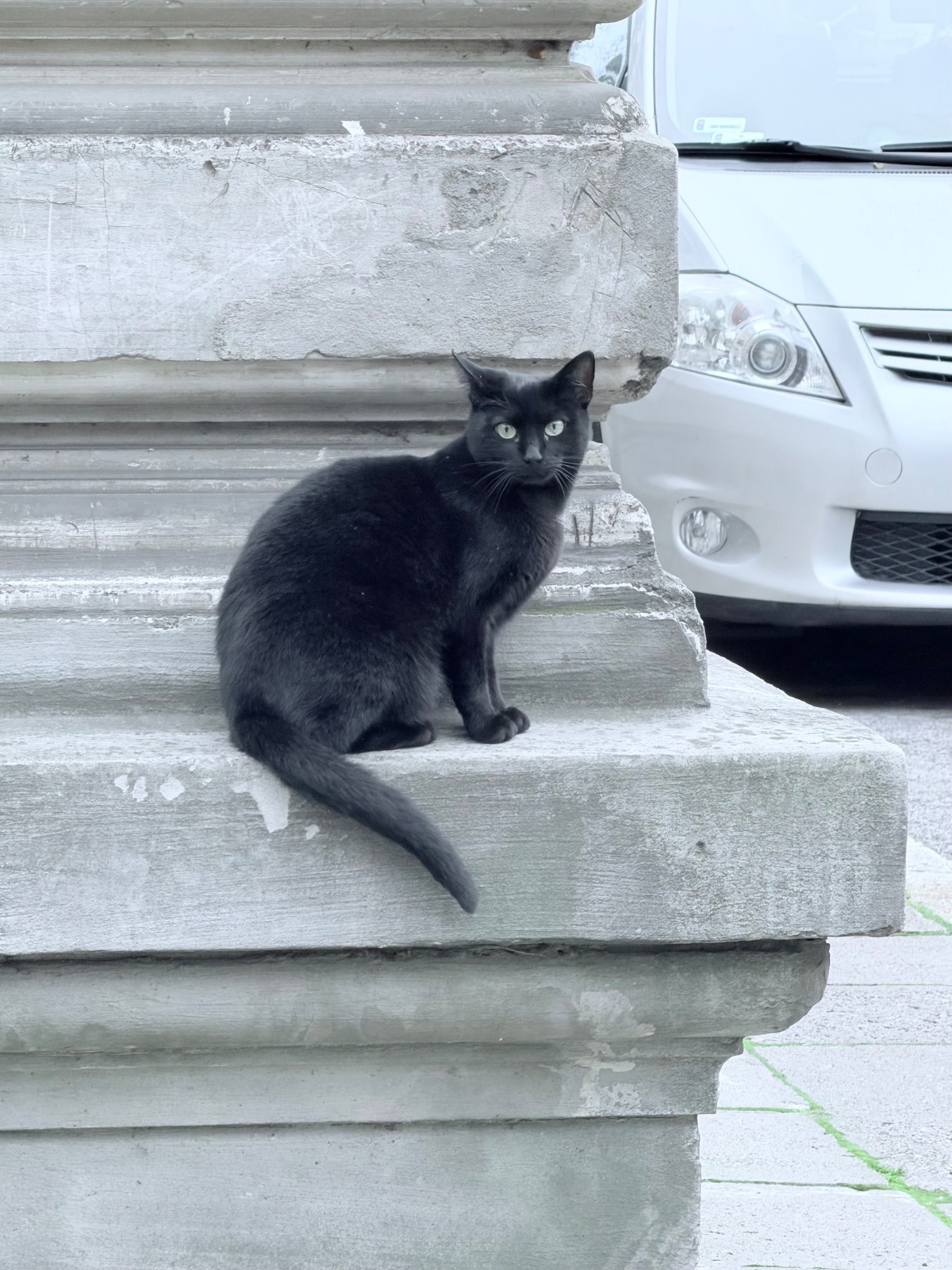 ed0deed8-86ef-40ea-a63a-5f7a9ef16cb7