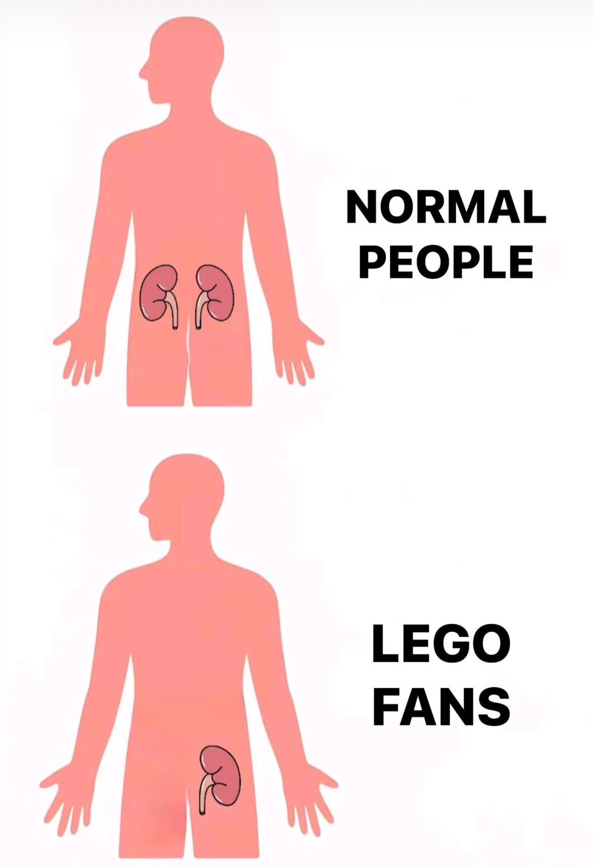 99a38bac-5322-4b43-9753-229da878ed64