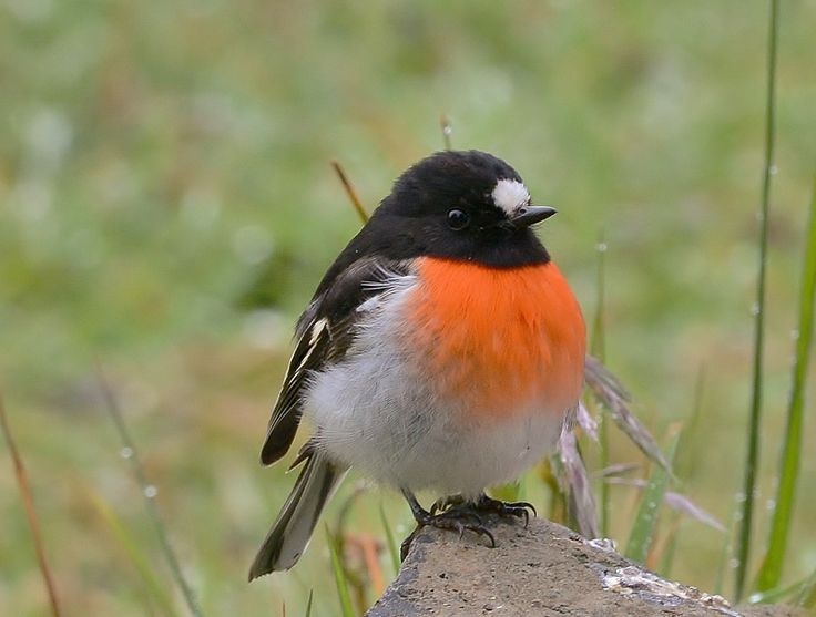 d1b260f2-b7e3-4c52-bd1e-abadbe1c09aa