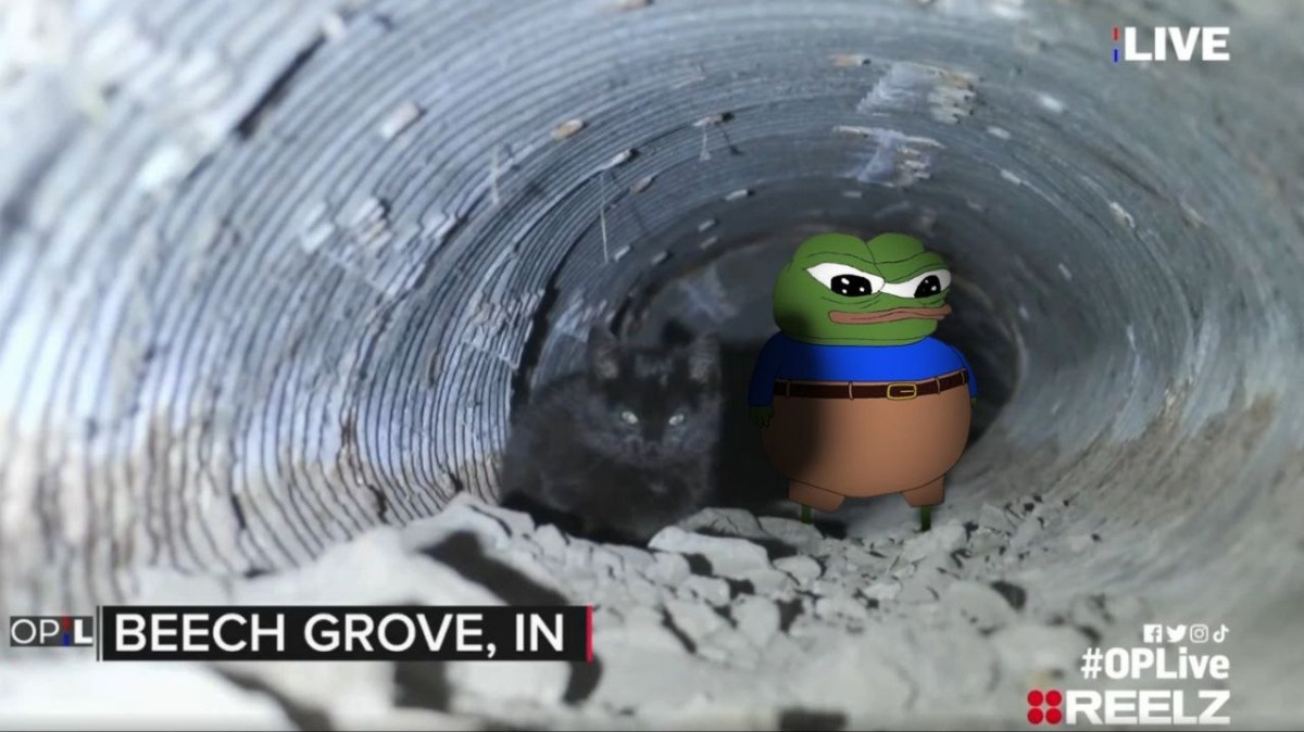 a269892f-e7fe-4a37-9e25-335b3a9d28e4