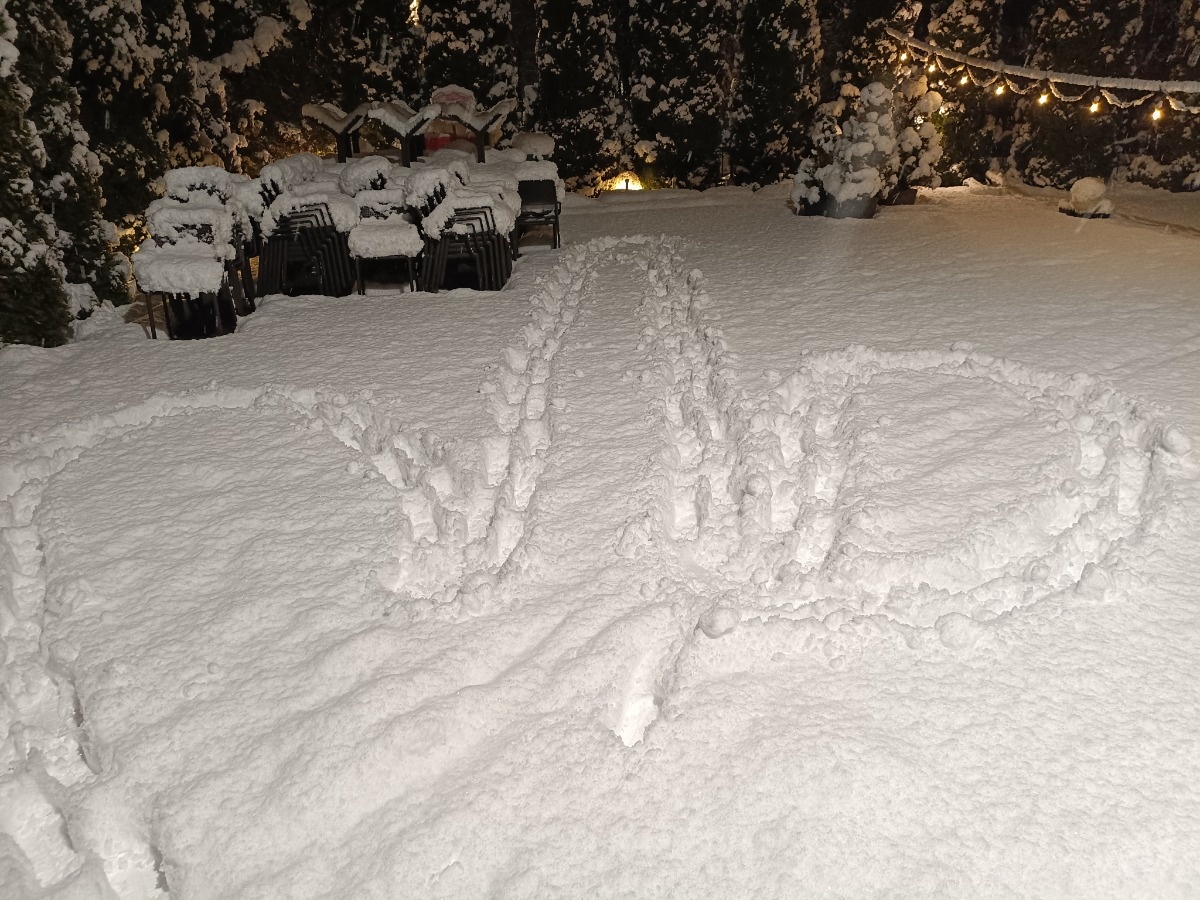 9f108ea8-6ee7-417a-893b-a0d68985d33e