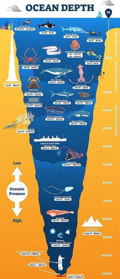 c2dcd806-8206-4d35-ba93-4e9f0331d4b5