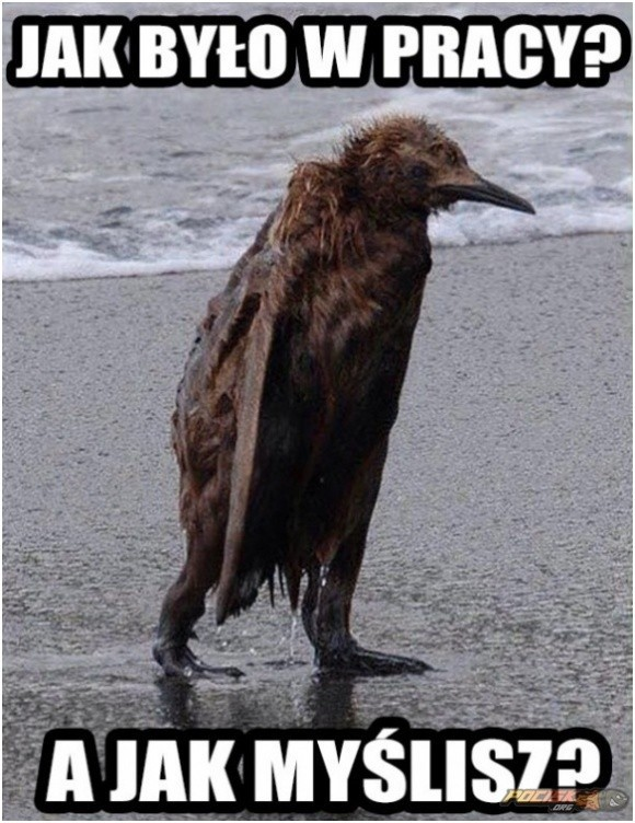 38b5d98e-4ce2-45e4-a89c-119e97c941a8