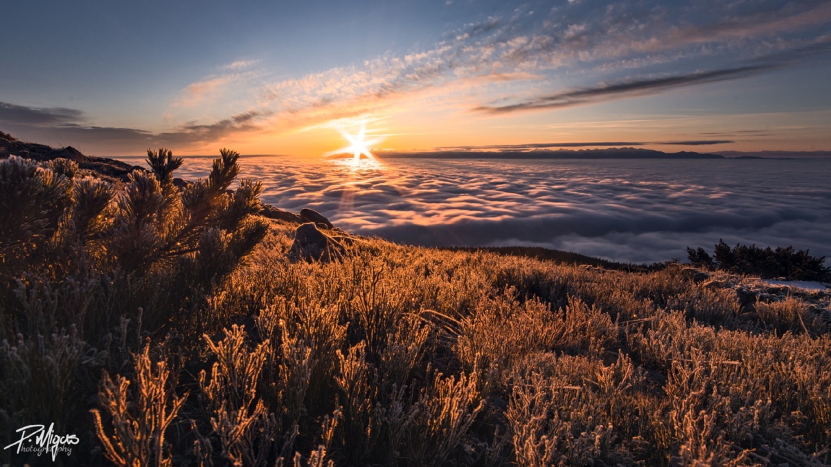 944897f0-e964-4762-848d-a49479bcd496