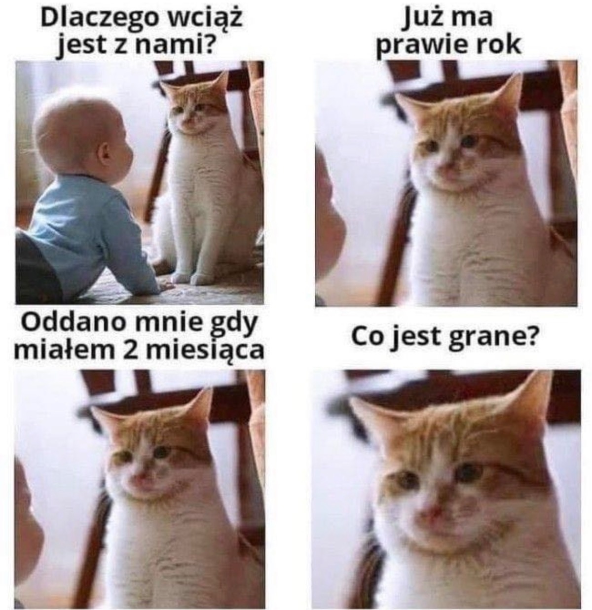 c7f08192-f563-46ea-bb7f-efb554f25508