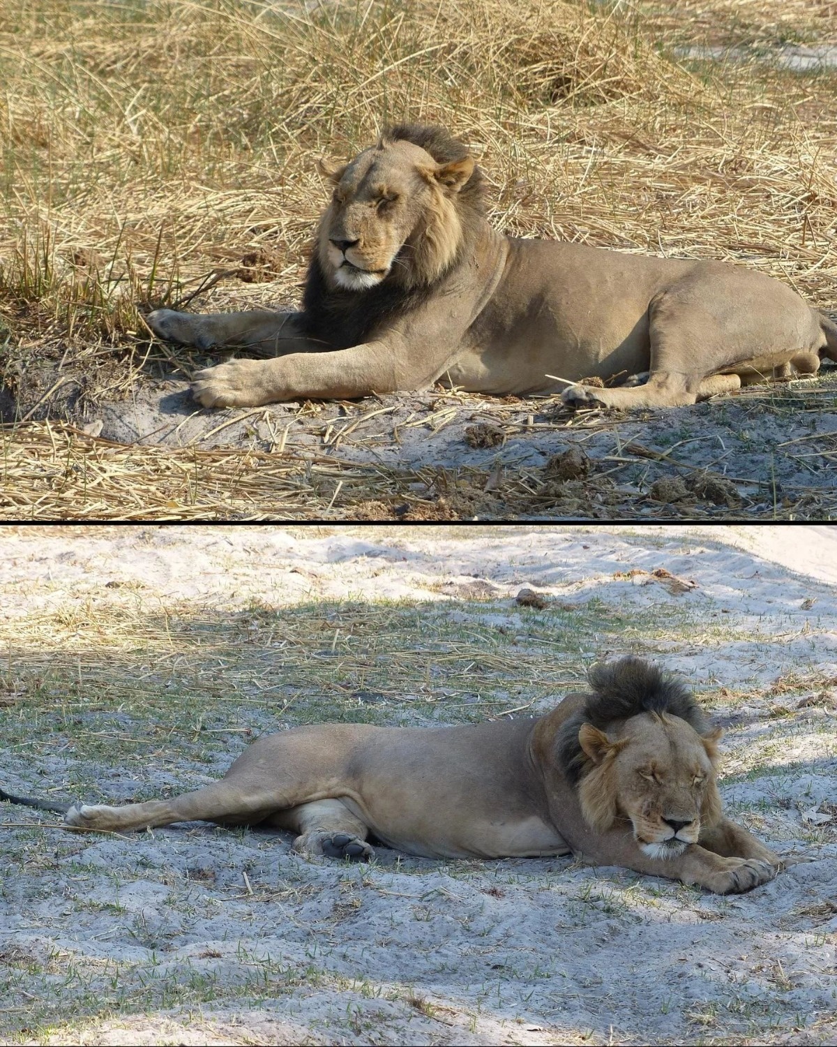 5cbe6e21-49d5-49e2-b1e0-4bfc1411a1bb