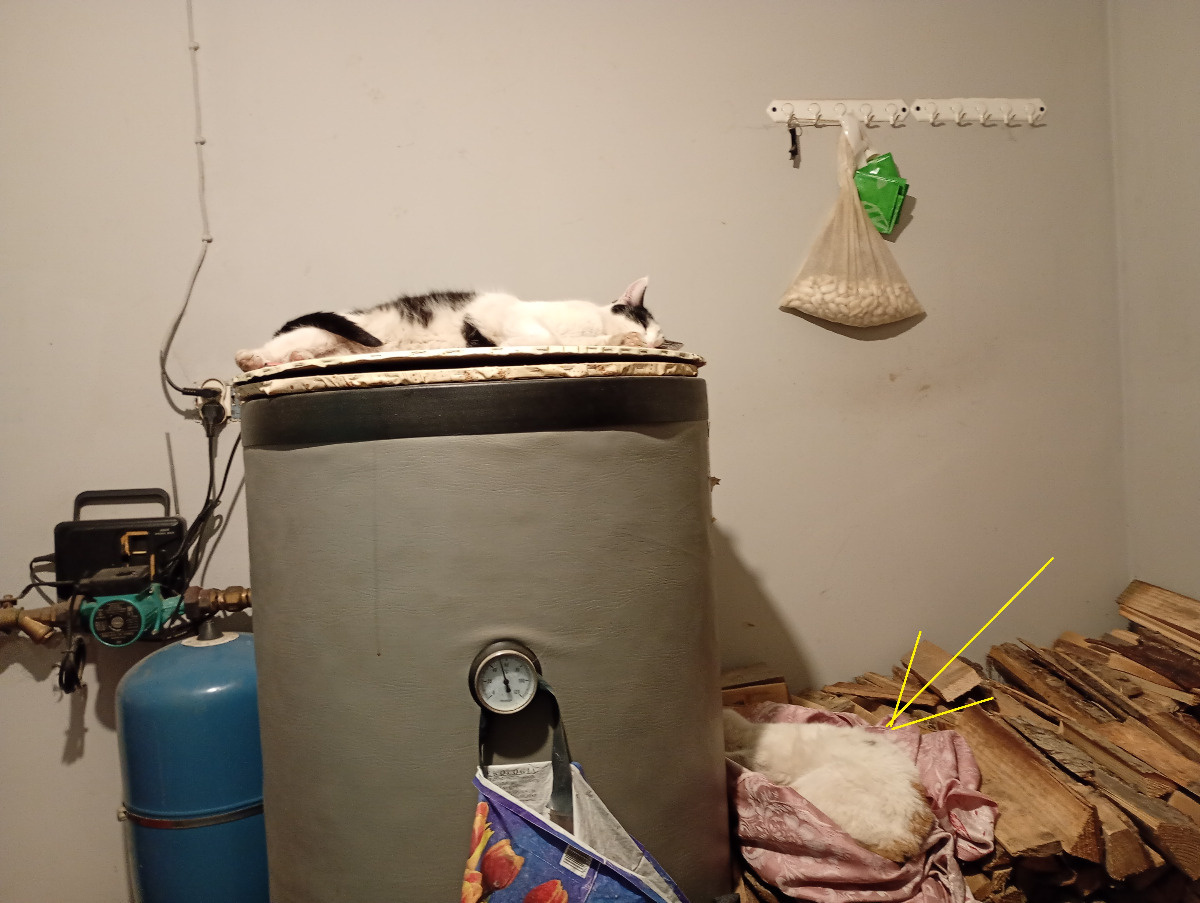 b5ad3490-5d5e-4416-ba84-b06e510b8f73