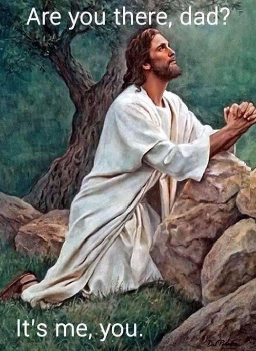 d1ce822a-8fb1-4fd5-b492-21455601d91f