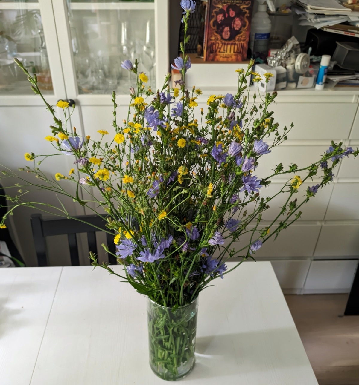 306a7695-4f21-4382-a6a8-411e8f06f210