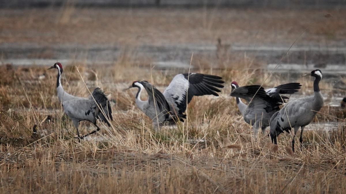 532643a0-455f-4127-9984-a8f1b1be0150