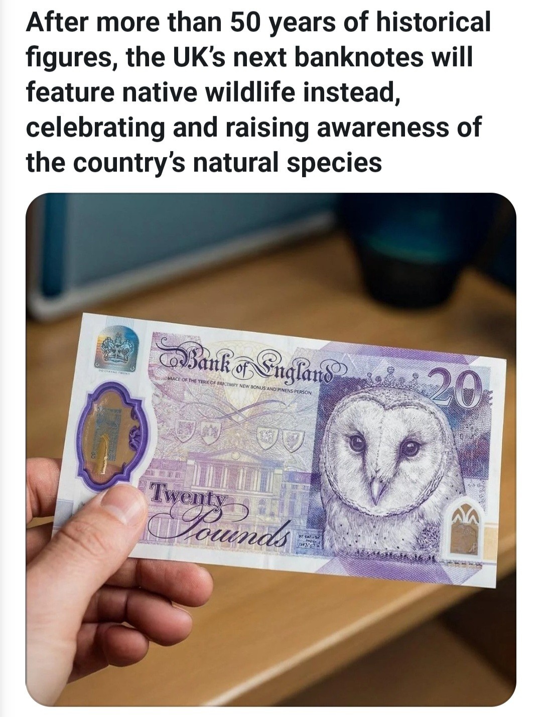 1c6b5161-08f7-4721-bd15-2d3bc0b1518f