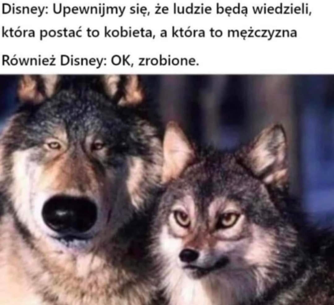 a81ed001-98dd-4379-a1c8-d310ed04946b