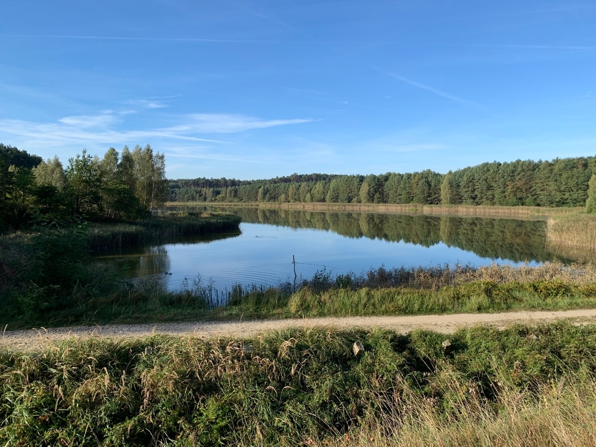 a6f78db4-4e1b-44d6-81e7-3d9b24e73677