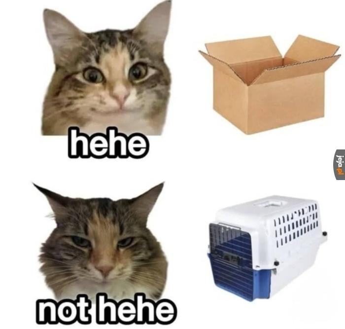 003dcb8b-db49-4b89-be81-7f6315ccf47e