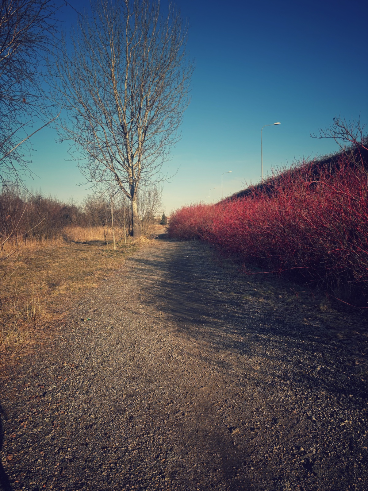 3c159c31-f384-44a5-ba2a-478fd107f368