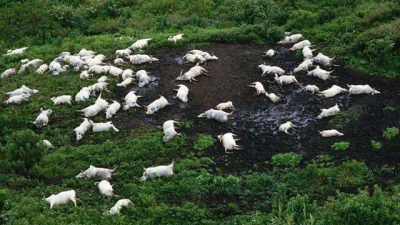 6e92c35b-d8be-4c23-b36a-159997726782