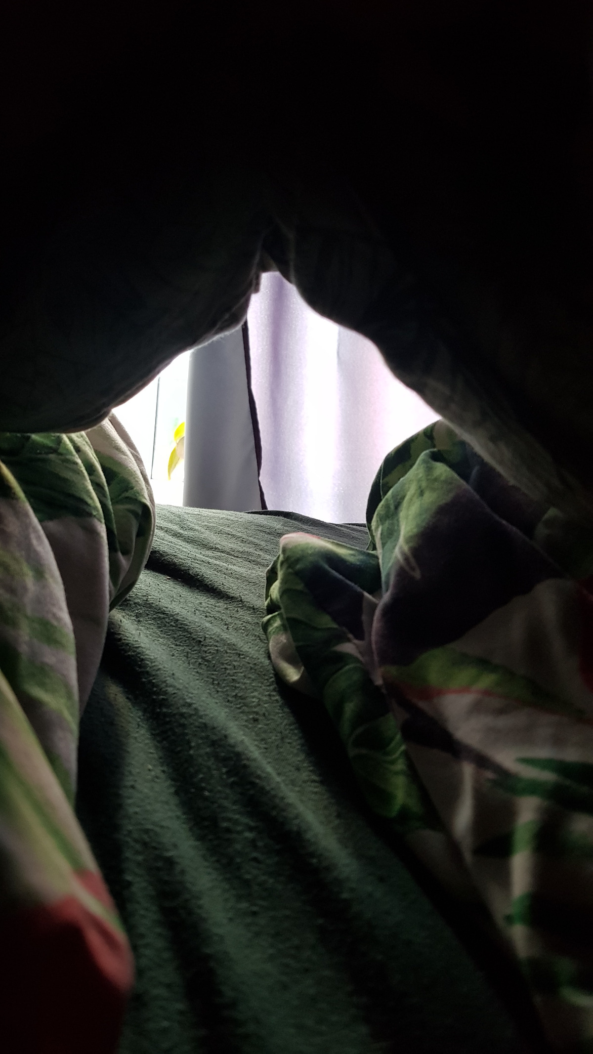 fc092b80-9d9a-4b3b-9503-363824a43105