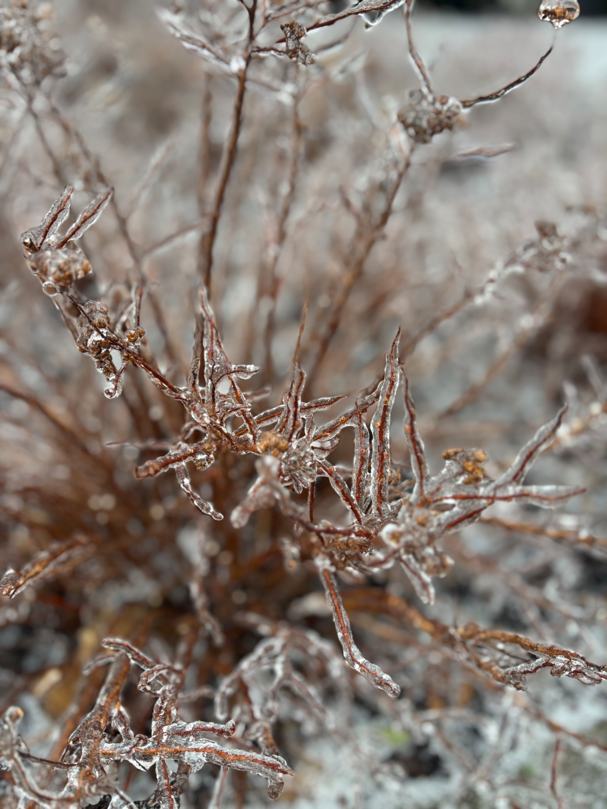 8536d9e2-5352-4efe-9757-ade55e2e2476