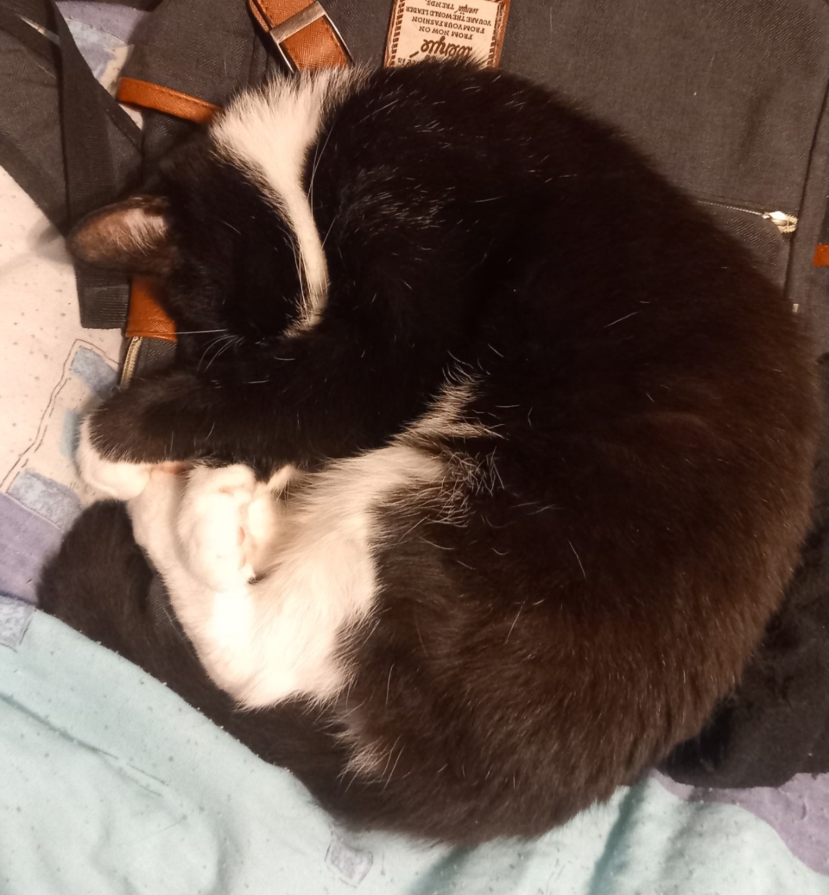 b23ebfe5-ed32-43da-884b-508c28e67b98