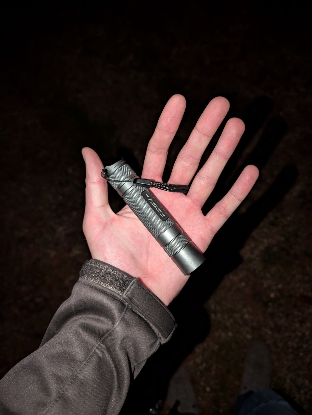 4c061fde-e3cd-409b-b81c-04b95c458283