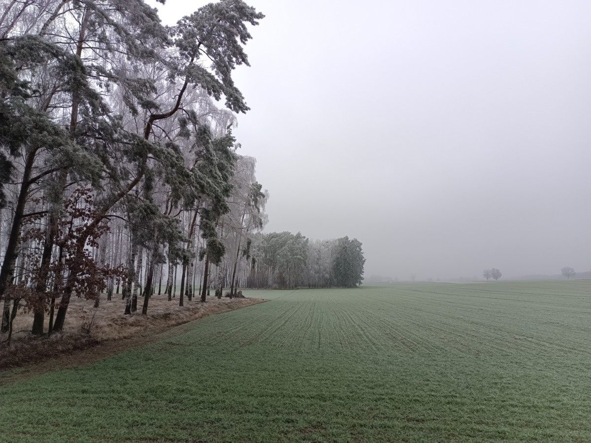 701bb5d8-8370-4643-9447-2fa9e699a887