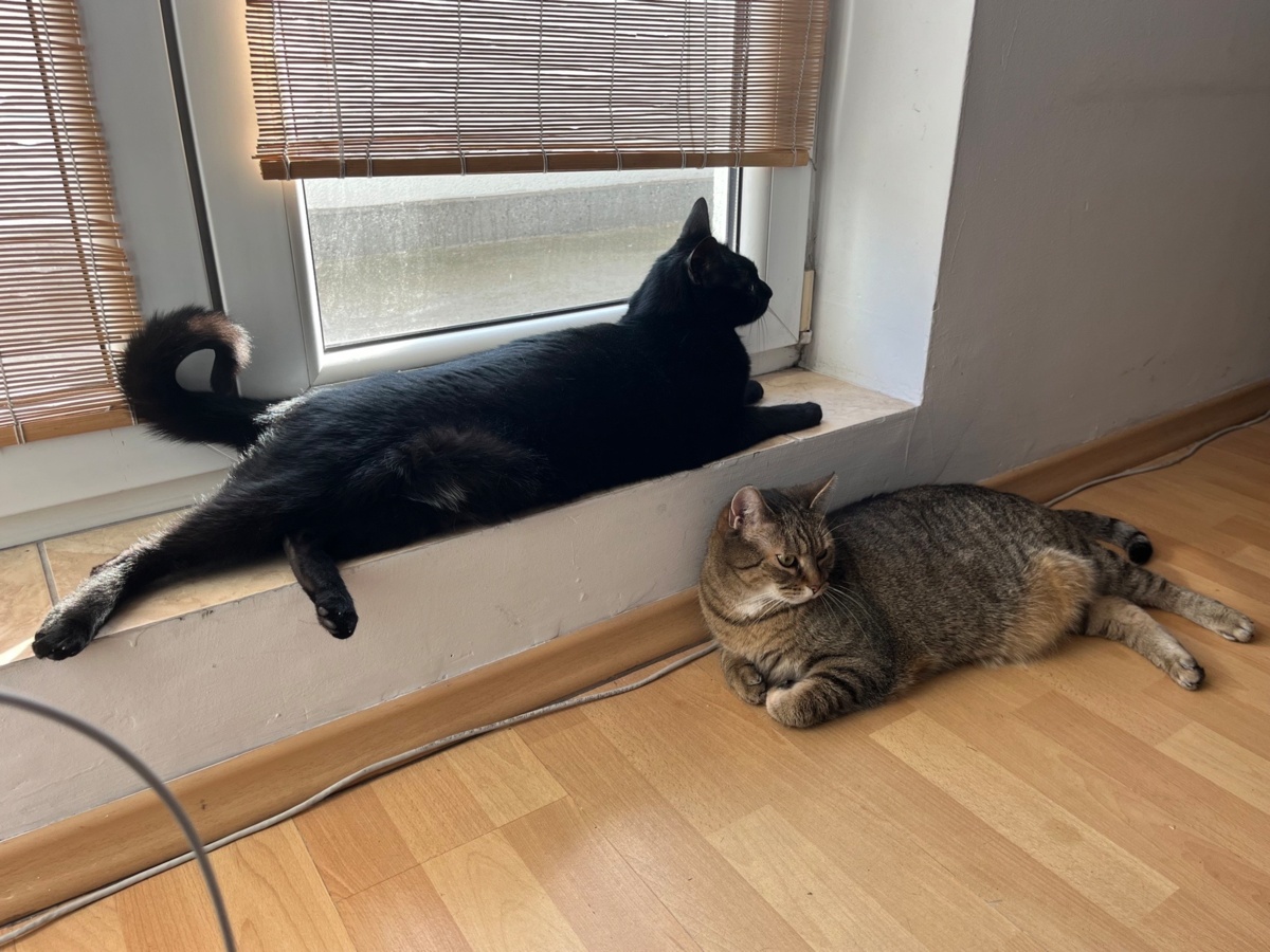 bd84ced4-2b1a-49ee-a841-7dadf0941fc1