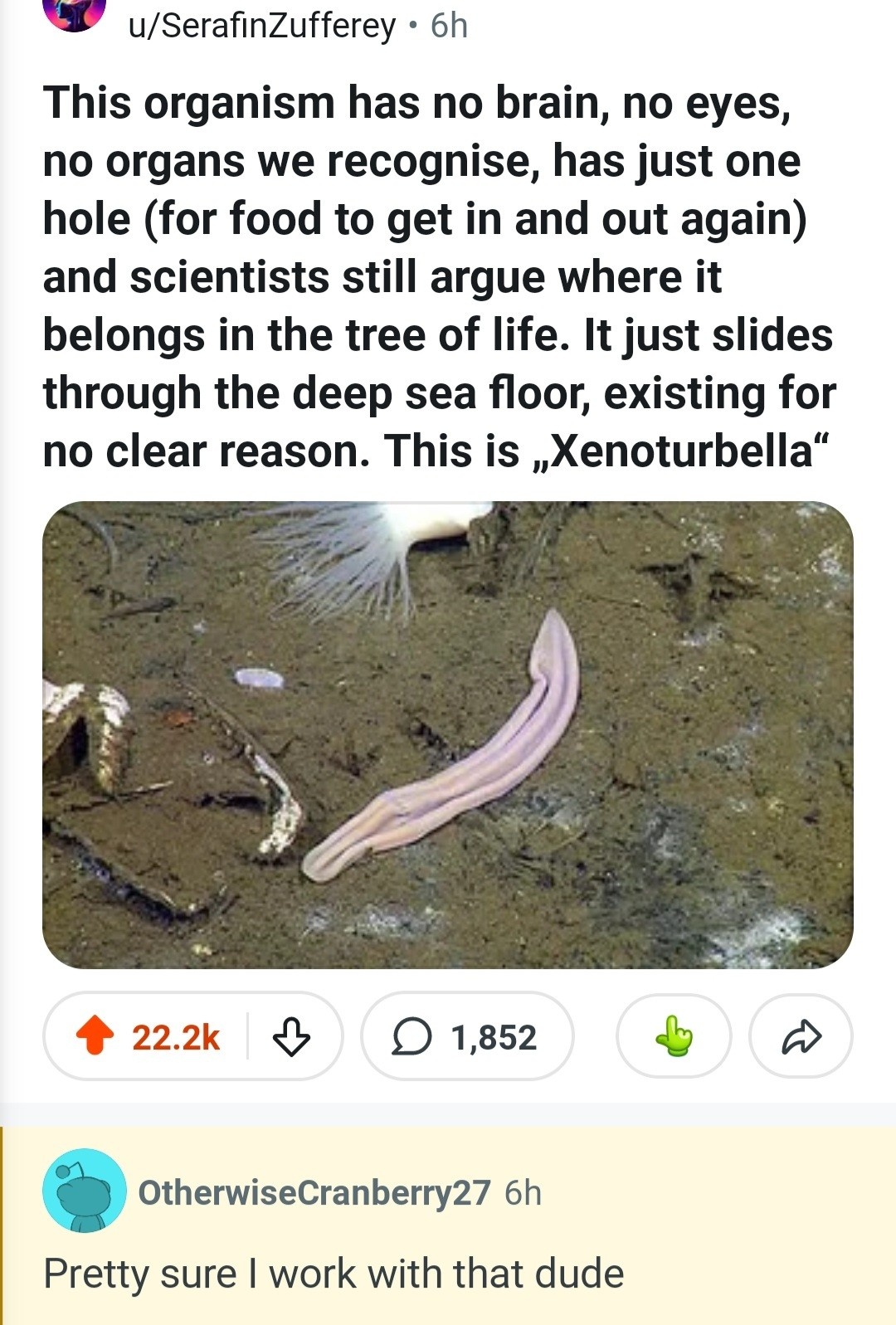 619e0a4a-611d-44b2-9077-82c781db402a