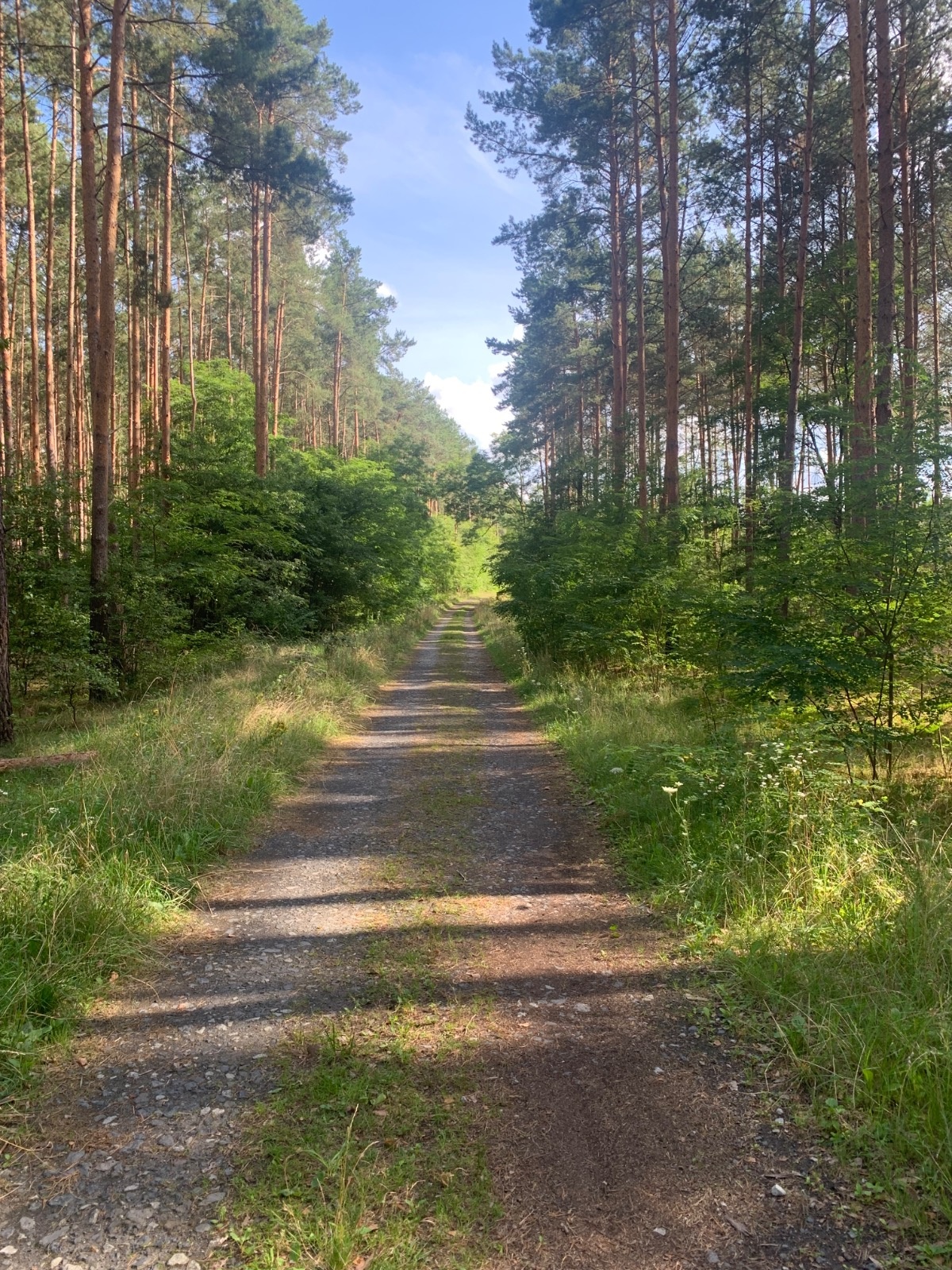 691112fd-294d-4ed1-a1f1-3c1ea0eb66a8