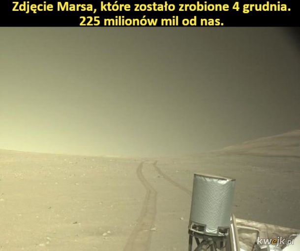 85de89b5-cd1c-4556-9411-f830d3ec0d5e