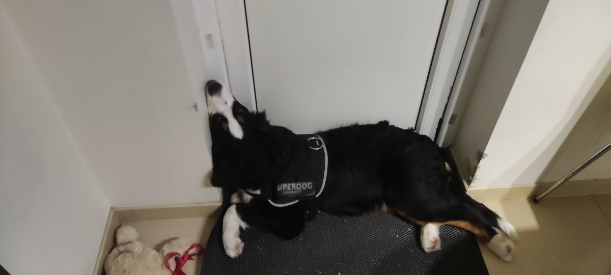 23ac452a-79e6-4318-b941-89c82abb6fd0