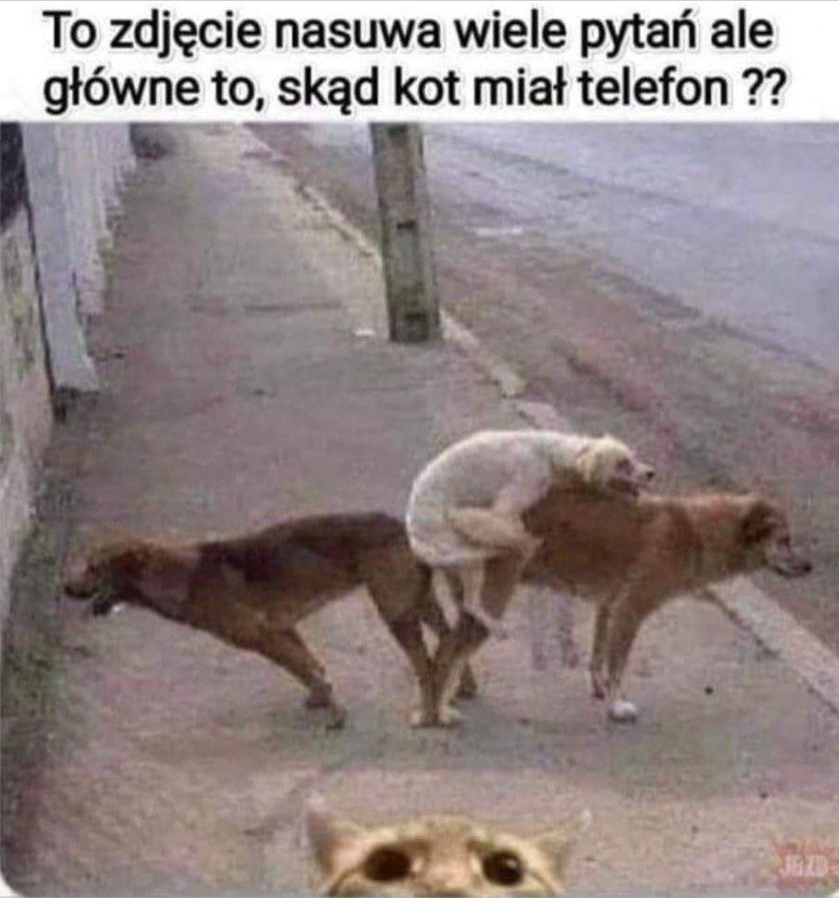 b44688c4-ab00-41af-b29f-71c5f29df50b