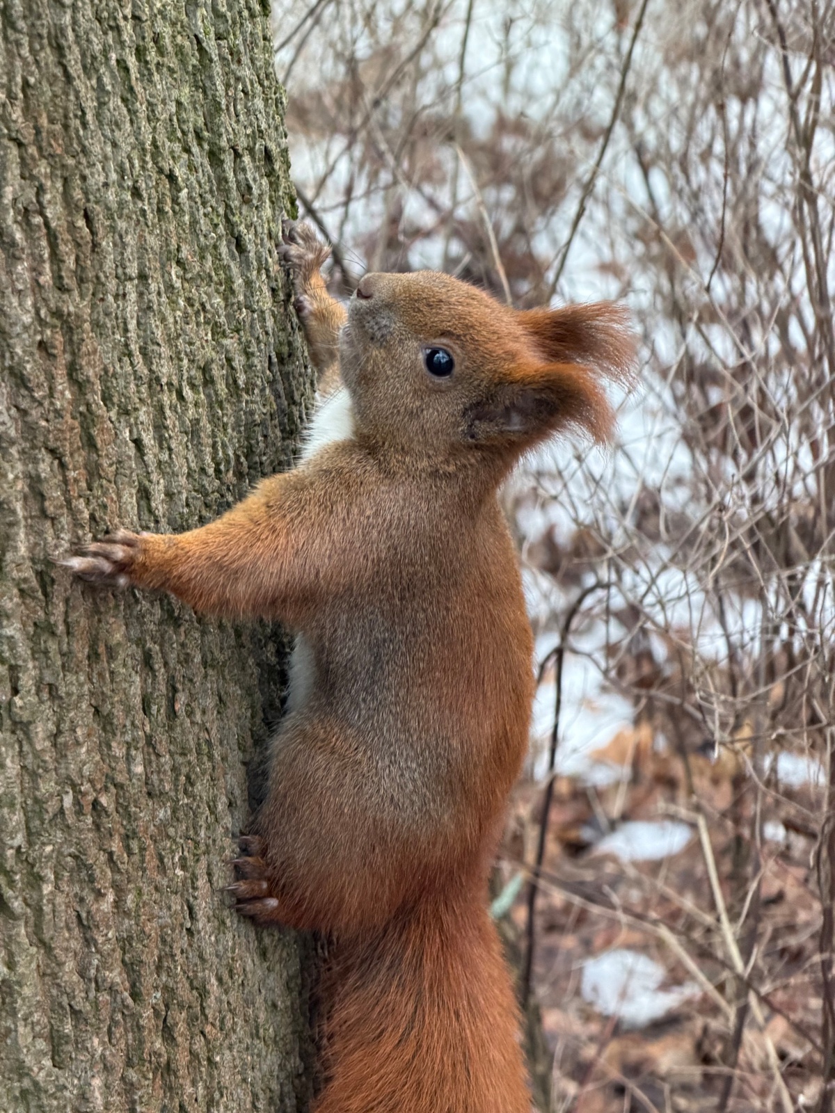 b4920cb2-5ff6-47df-acf8-183828ace1c2