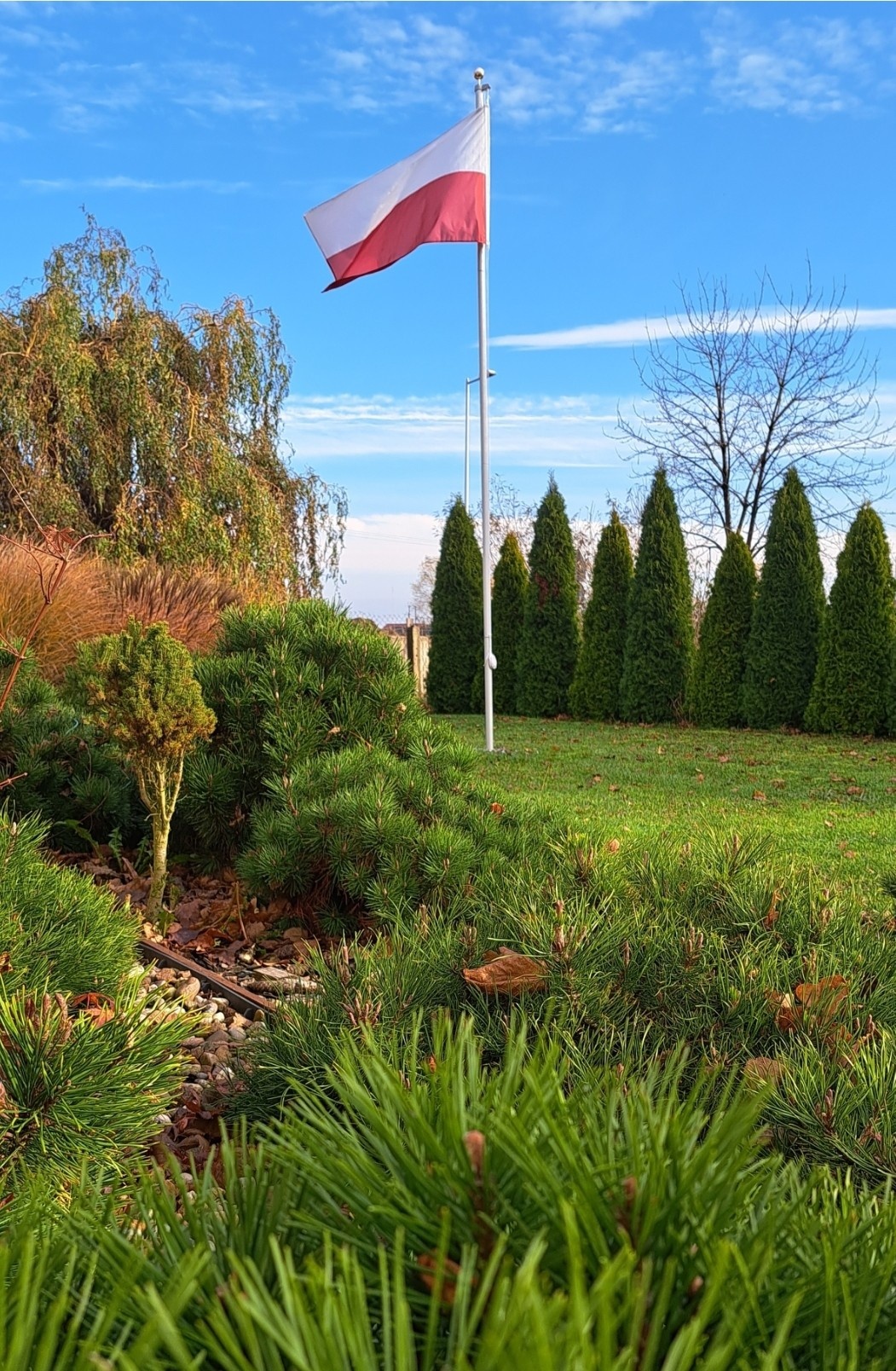 1dae8fee-7e3e-4ad0-8092-7837629c7944