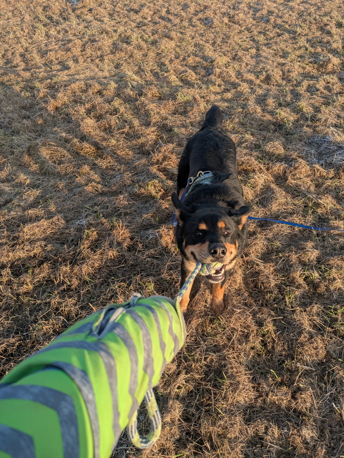 8fb718e1-3abb-401b-bc59-157d90baa928