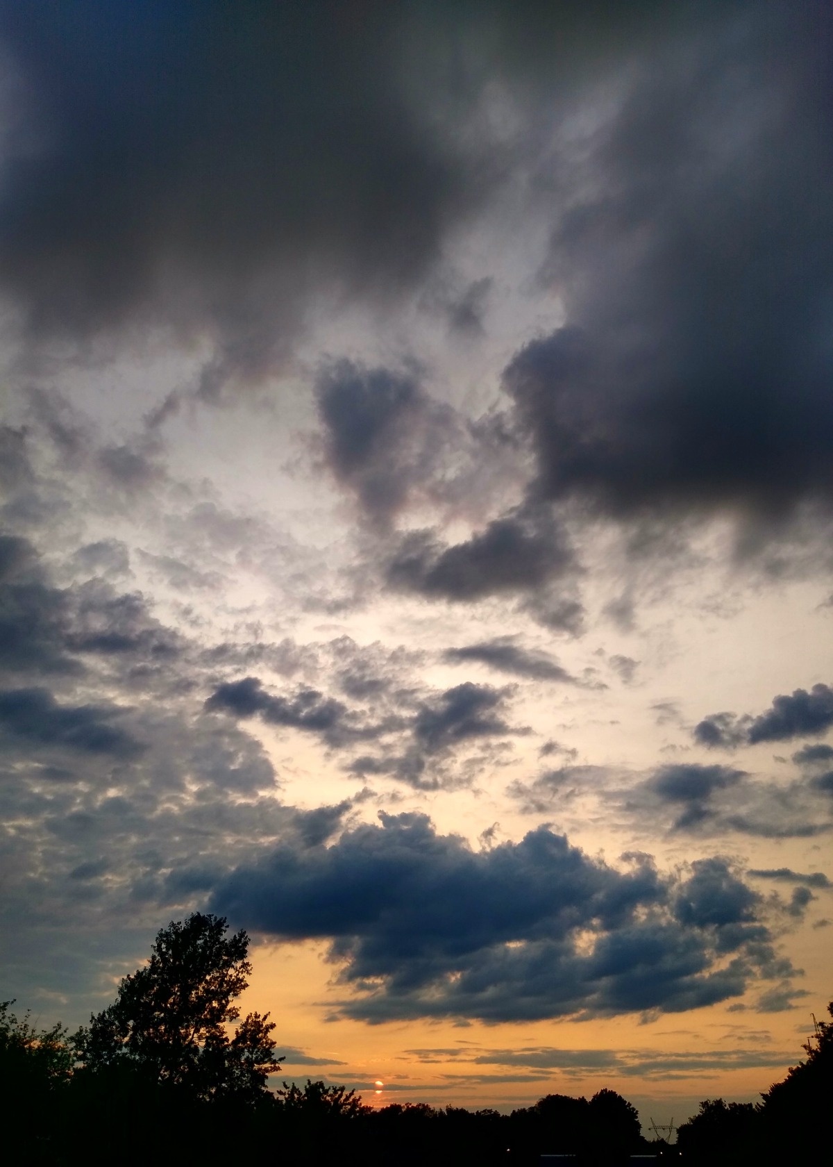 a444f0d8-51c2-45d1-8b6d-8e1b1ebd8d27