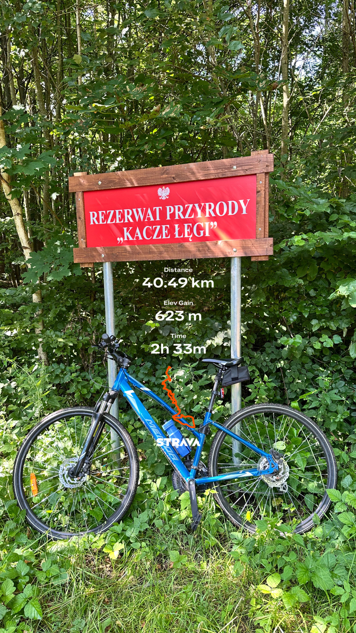 b0d44cd9-3763-4b17-be51-b444068e953d