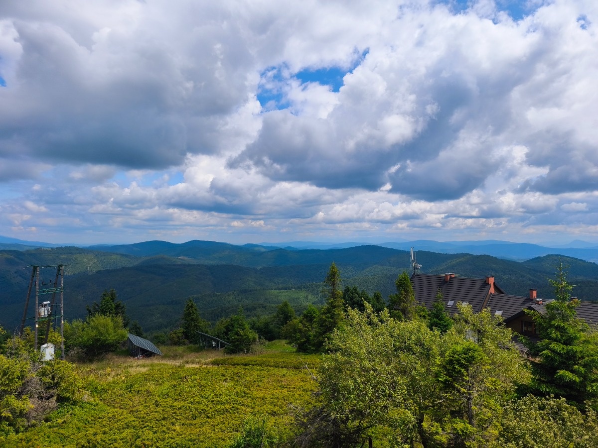 d62bb7d2-3f01-4e1e-ba2f-d180e0f9e447