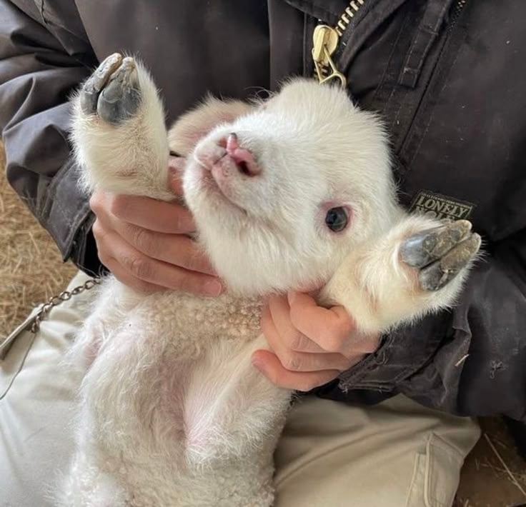 3d2fd705-7d6e-4bca-be8b-644fe2d09530