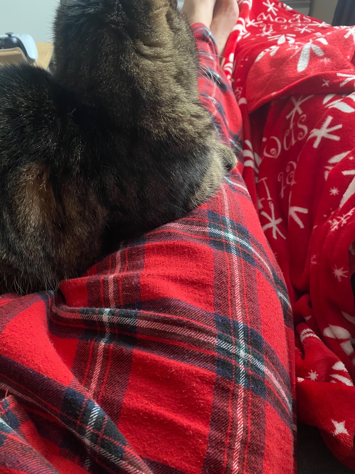 7b2114b2-34e7-4d4e-971f-d2edebb7052e